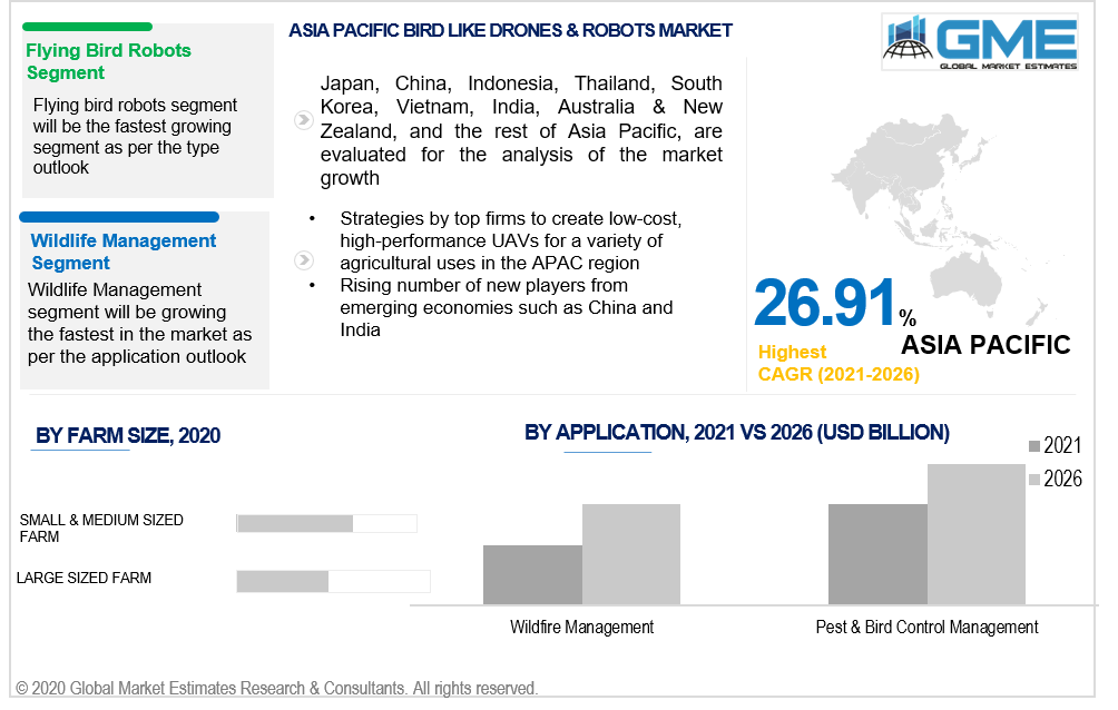 asia pacific bird like drones & robots market 