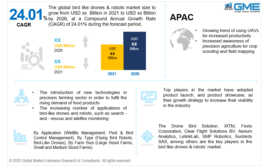 global bird like drones & robots market 