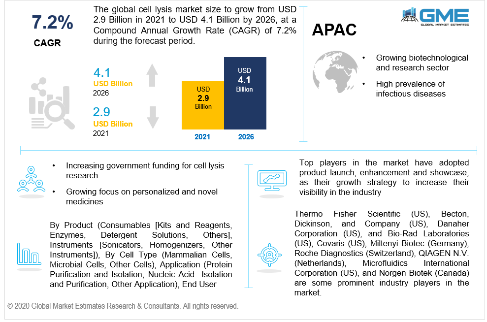 global cell lysis market