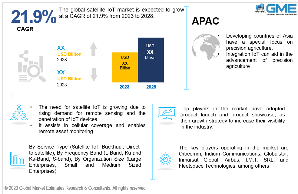  global satellite iot market